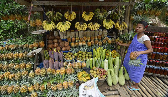 Amazing Assam and Meghalaya Package