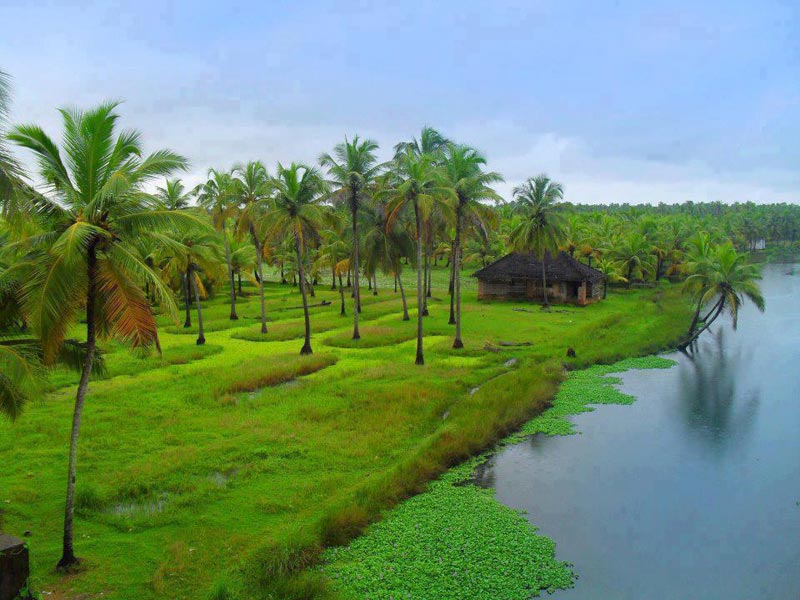Enchanting Kerala Tour