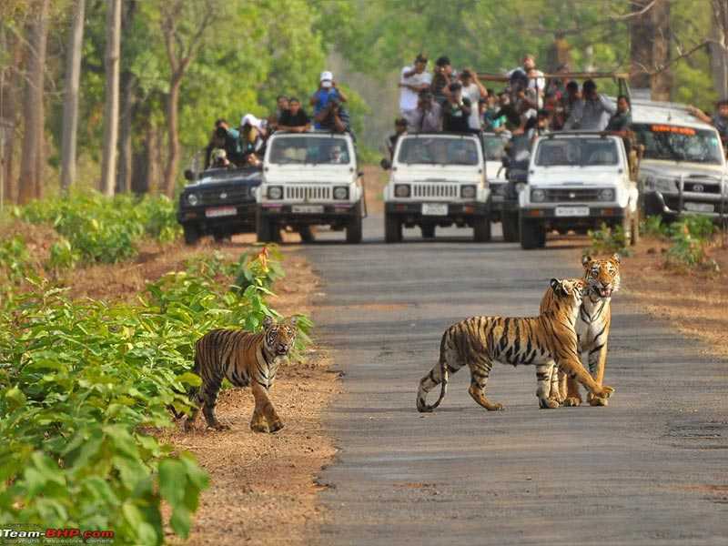 Lucknow Dudhwa National Park Tour