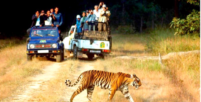 Uttranchal Best Tour