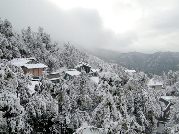 Nainital 12 Days Package