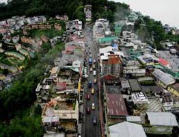 Mist Tree Mountain Tour Image