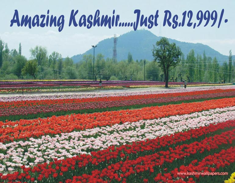 Amazing Kashmir Tour