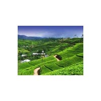 Darjeeling - Gangtok Tour