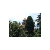 Darjeeling - Gangtok Tour