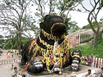 Bangalore - Mysore - Ooty - Kodaikanal Tour