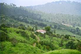 Best Of Kumaon - Nainital - Kasouni - Ranikhet - Corbett Tour