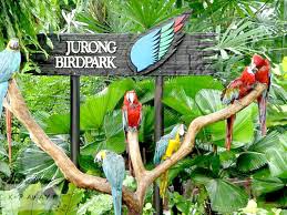 Singapore Amazing  (03 Nights/04 Days)