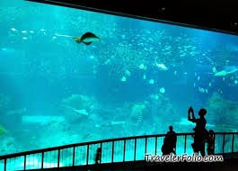 The United States of America - USA -13 Nights & 15 Days Tour