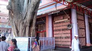 Solapur Akkalkot Gangapur Darshan Tour - Maharashtra