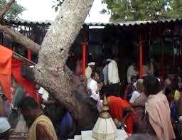 Solapur Akkalkot Gangapur Darshan Tour - Maharashtra