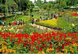 Kodaikanal & Munnar Or Ooty Honeymoon Special