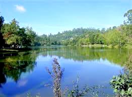 Kodaikanal & Munnar Or Ooty Honeymoon Special