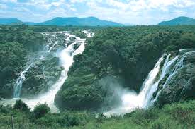 Kodaikanal & Munnar Or Ooty Honeymoon Special