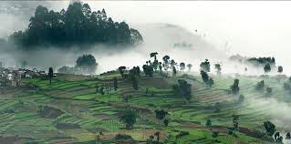 Kodaikanal & Munnar Or Ooty Honeymoon Special