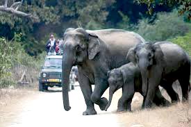 Uttrakhand Wildlife Tour