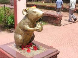 Konkan Darshan Tour - Maharshtra