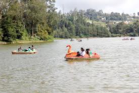 Mysore Ooty Package