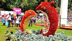 Mysore - Ooty - Kodaikanal Tour