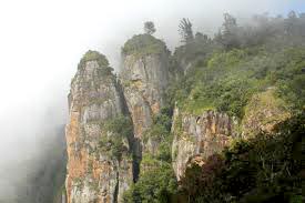 Mysore - Ooty - Kodaikanal Tour