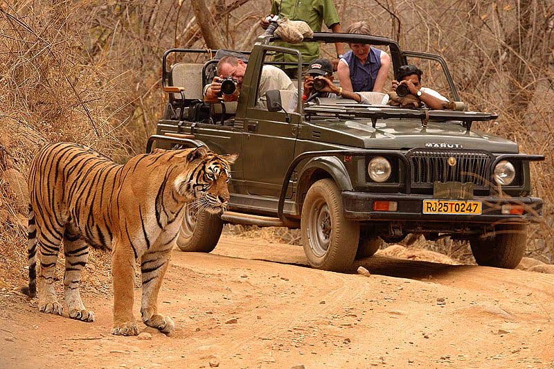 Golden Triangle Tour With Bharatpur And Ranthambore