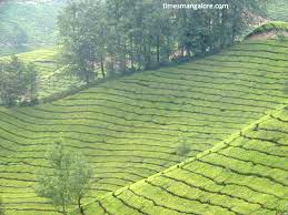 Beautiful Kerala Tour