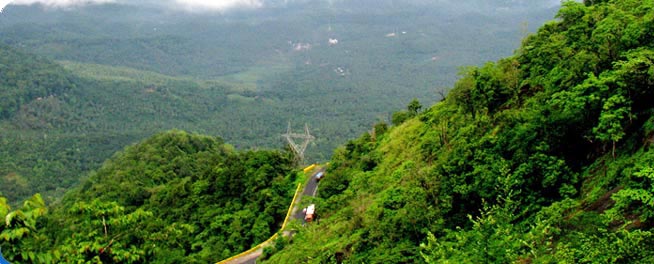 Explore Wayanad Tour