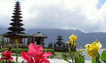 Bali Tours Package