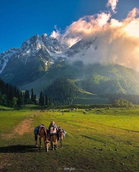 Ho Chi Minh - Mekong Delta - Cu Chi Tunnel