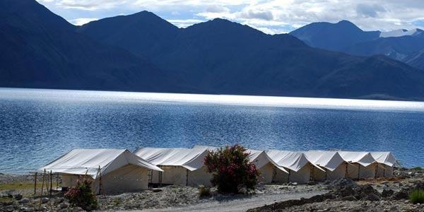Ladakh Insight Tour Package