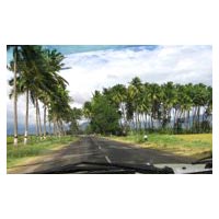 Munnar - Thekkady - Alappuzha Houseboat - Kovalam - Kanyakumari Tour 