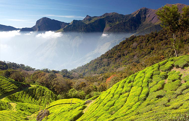 Southern Pardaise Group Tour Packages in Kerala