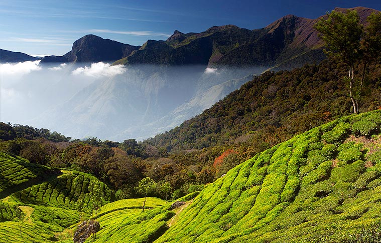 One time Offer Kerala Holiday Tour package for your family