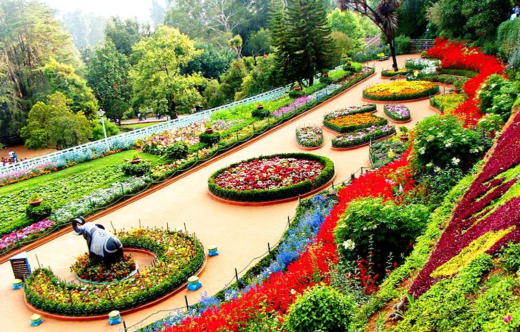 Hill Station with South India Holiday Tour Packages