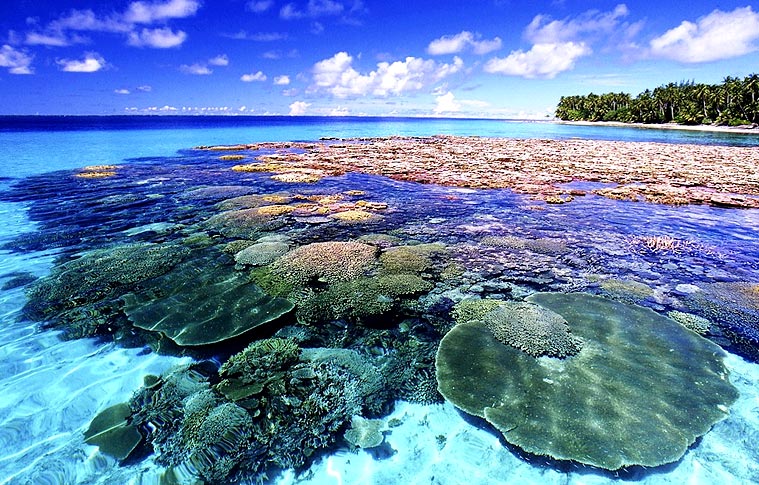 Beach Station Andaman Holiday Tour package