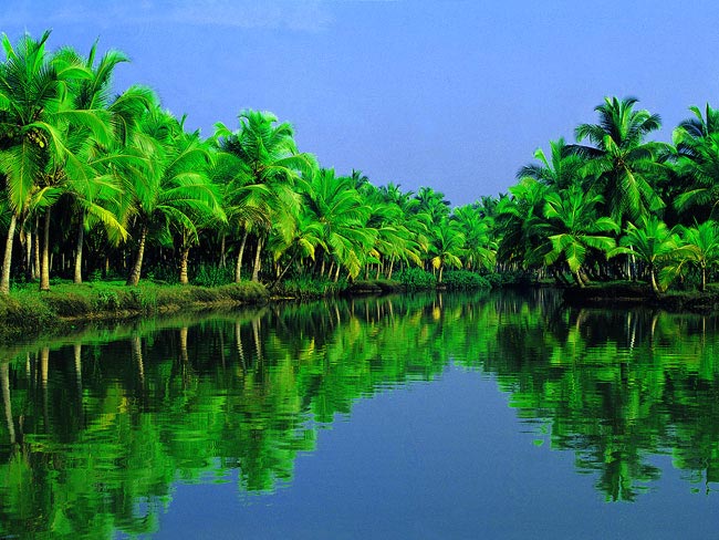 Kerala Hills & Backwater Tour