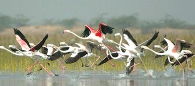 Kerala Pilgrimage and Leisure Tour