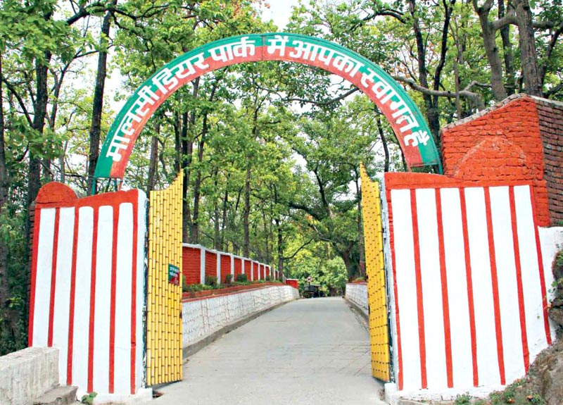 Delhi - Mussoorie - Delhi 2 N/ 3 Days Tour