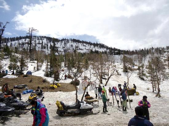 3 N/ 4 Days Delhi - Manali - Delhi Tour