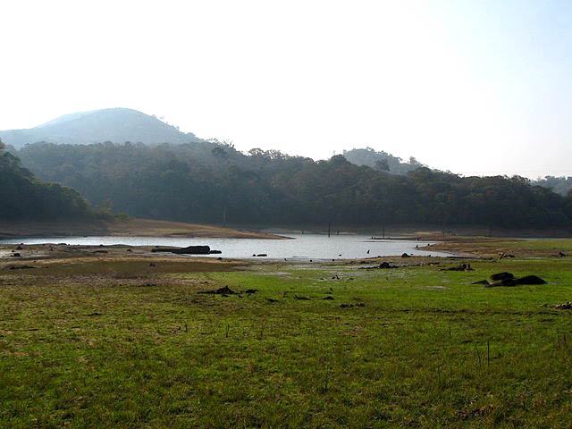 Weekend Packages - Wonder Of Thekkady