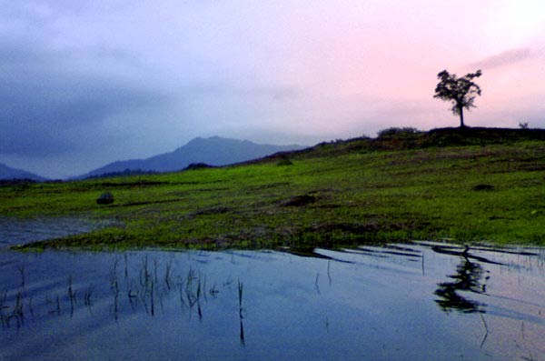 Weekend Packages - Western Gates Wayanad