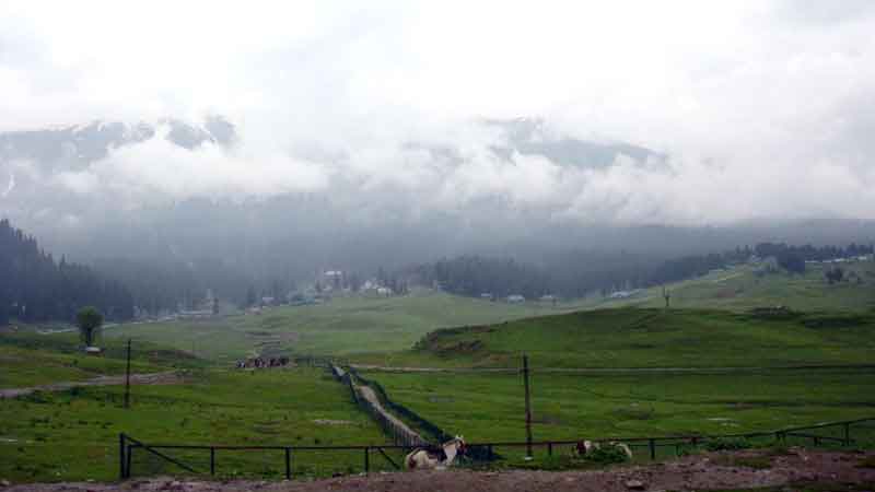 Srinagar - Gulmarg - Pahalgam - Sonamarg Package