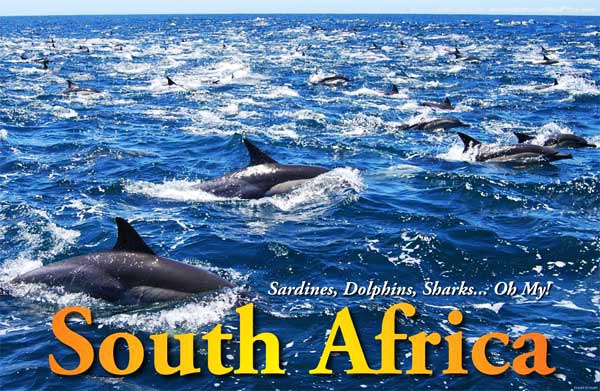 Best Of South Africa Tour