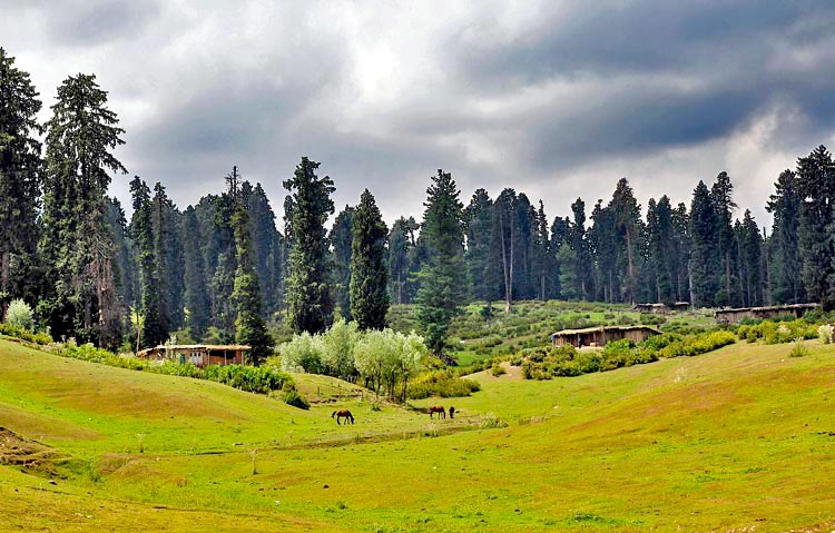 A Lover’S Paradise - The Vale Of Kashmir