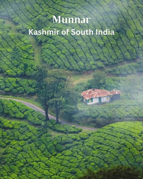 Kerala Honeymoon Package 4 Nights 5 Days