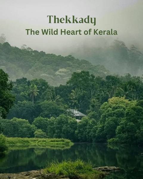 Kerala Honeymoon Package 4 Nights 5 Days