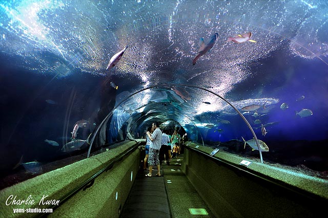 Asian Luxury - Singapore 2 Tour