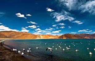 Amazing Ladakh Tour With Pangong