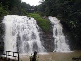 Coorg Ooty Tour Package