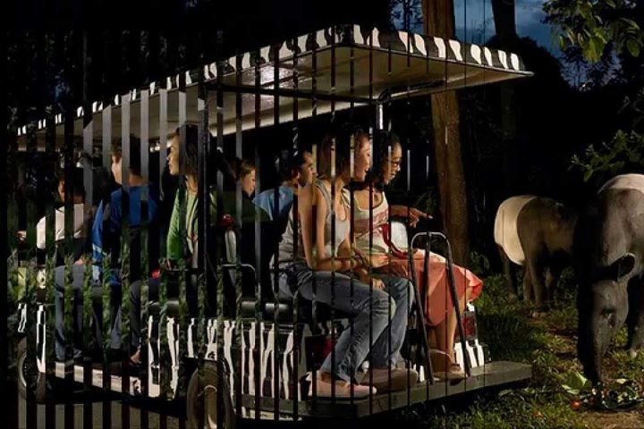 Singapore Delight Tour